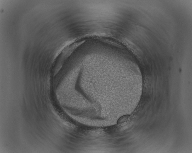 X0000089680112200707121259