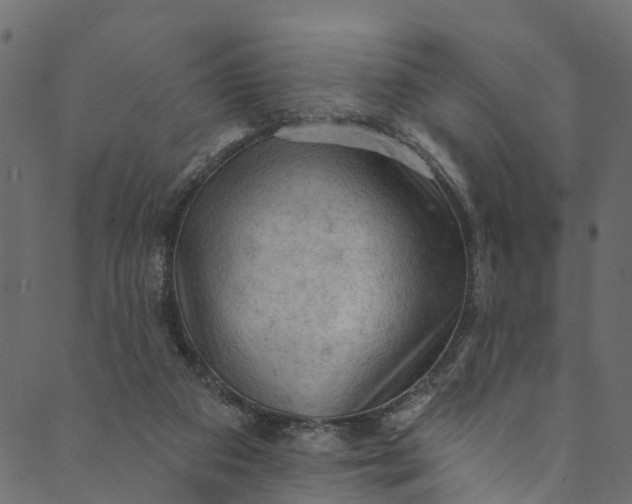 X0000089680113200707121259