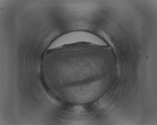 X0000089680114200707121259