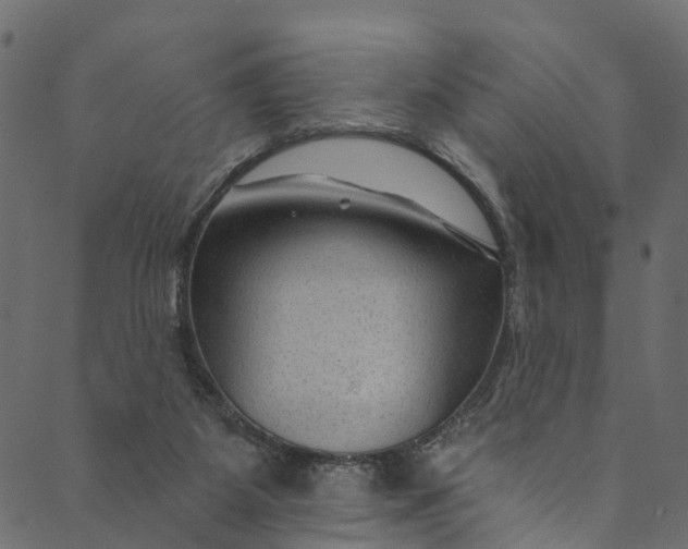 X0000089680115200707121259