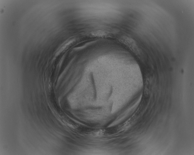 X0000089680116200707121259