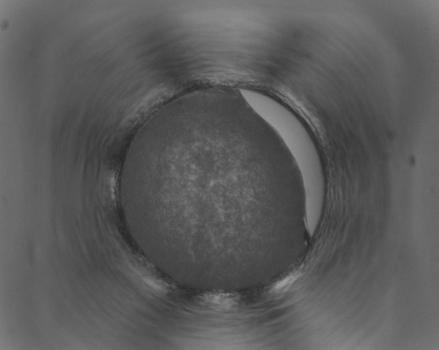 X0000089680117200707121259