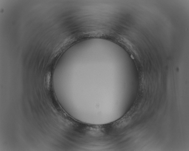 X0000089680118200707121259