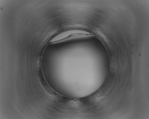 X0000089680119200707121258