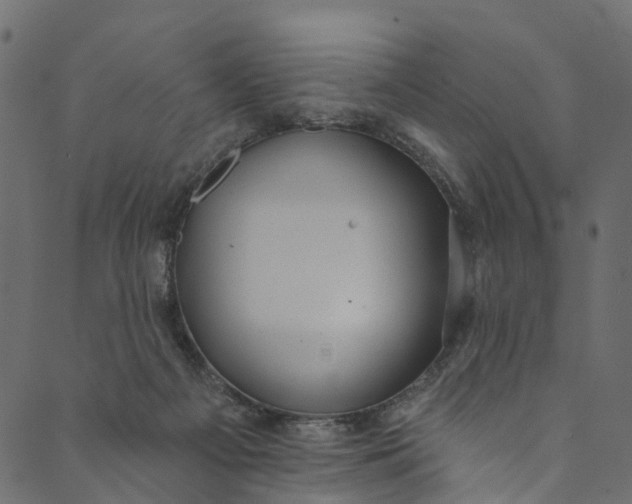 X0000089680121200707121258