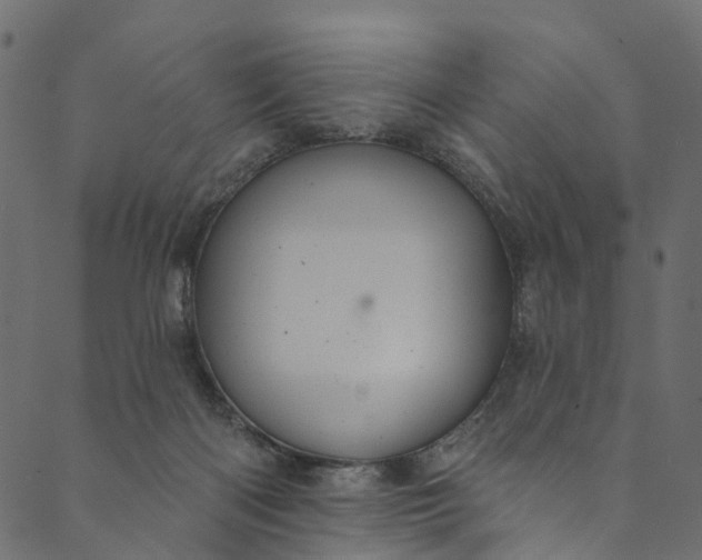 X0000089680122200707121258