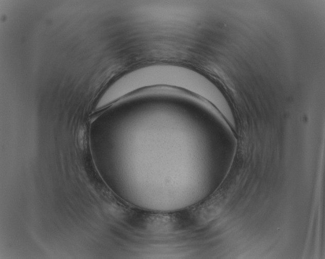 X0000089680123200707121258