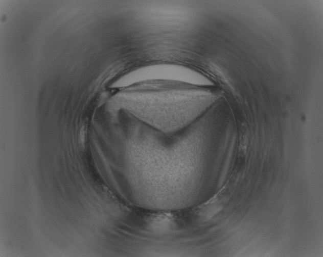 X0000089680124200707121258