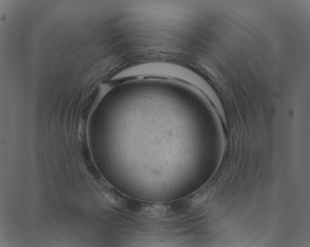 X0000089680125200707121258