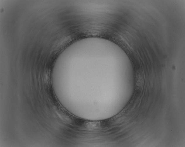 X0000089680126200707121258