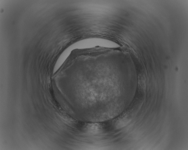 X0000089680127200707121258