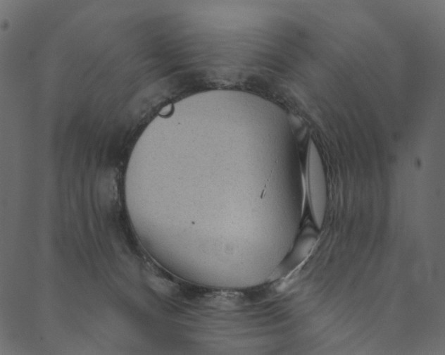 X0000089680128200707121258