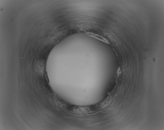 X0000089680129200707121258