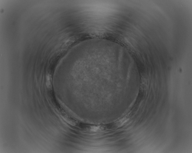 X0000089680130200707121258