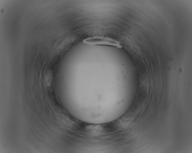 X0000089680133200707121258