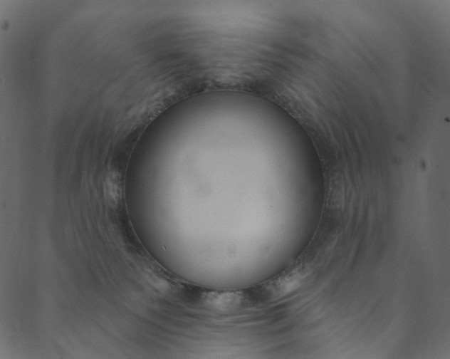 X0000089680135200707121258