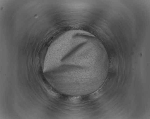 X0000089680136200707121258