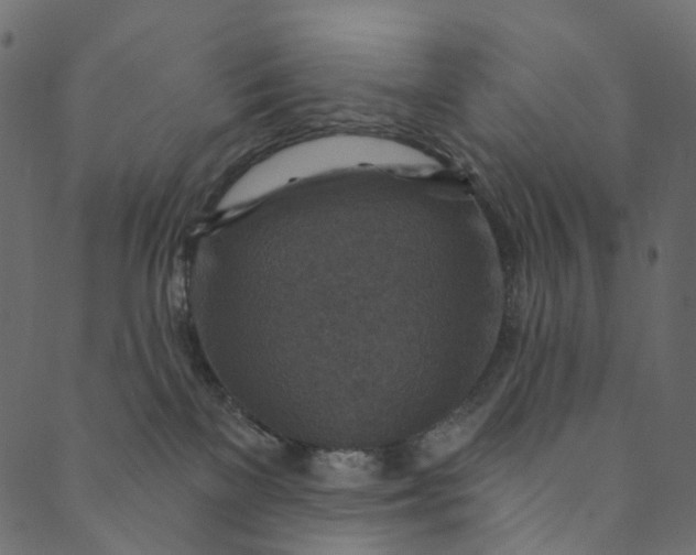 X0000089680137200707121258