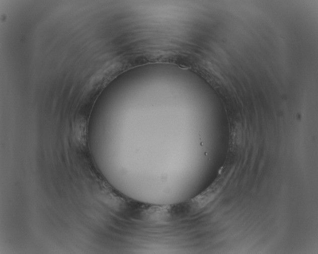 X0000089680138200707121258