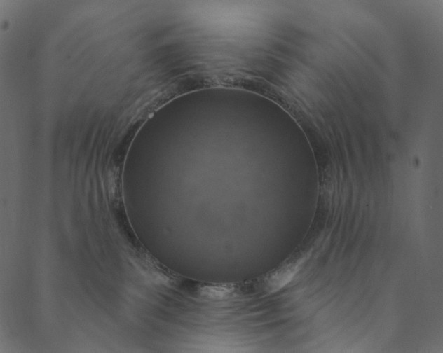 X0000089680139200707121258