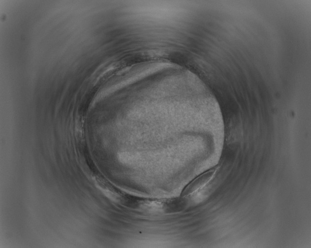 X0000089680140200707121258