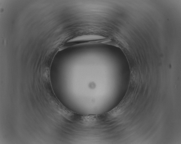 X0000089680141200707121258