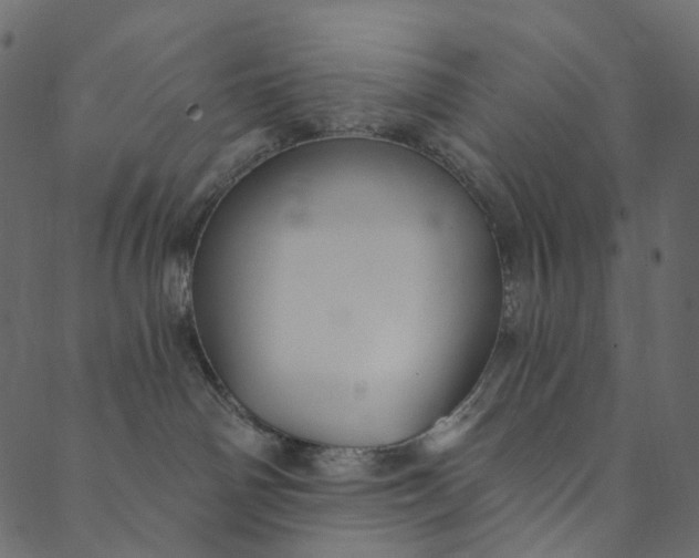 X0000089680142200707121258