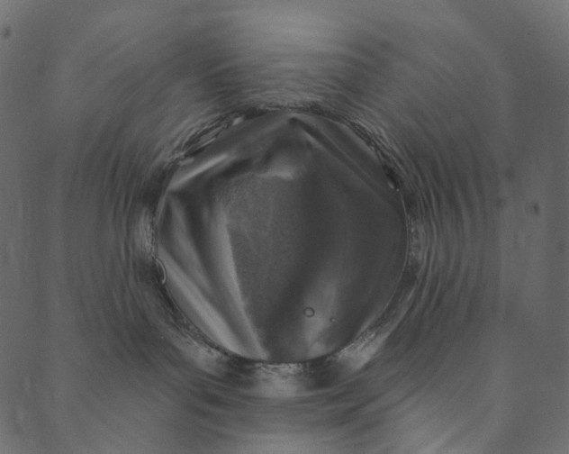 X0000089680143200707121258