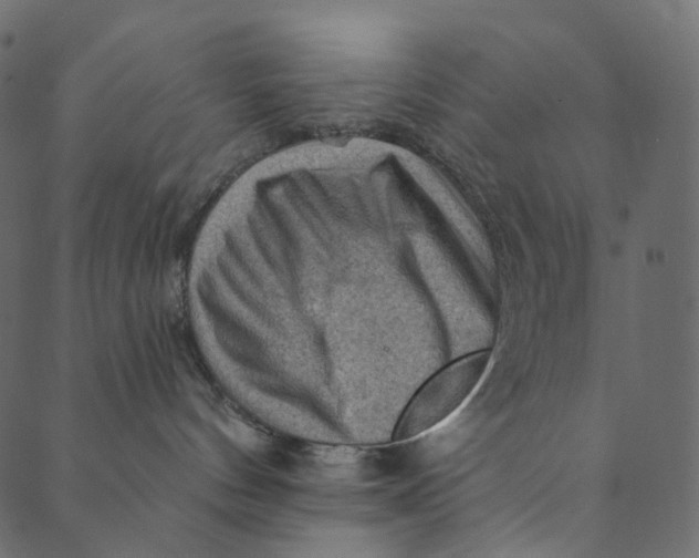 X0000089680144200707121258