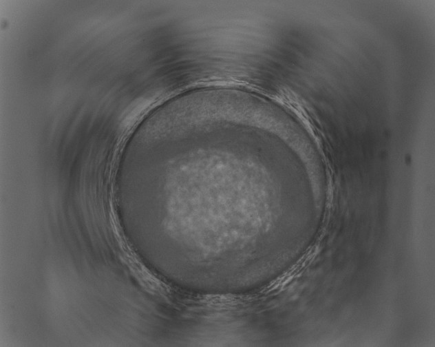 X0000089680145200707121257