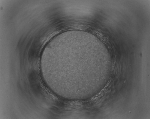 X0000089680146200707121257