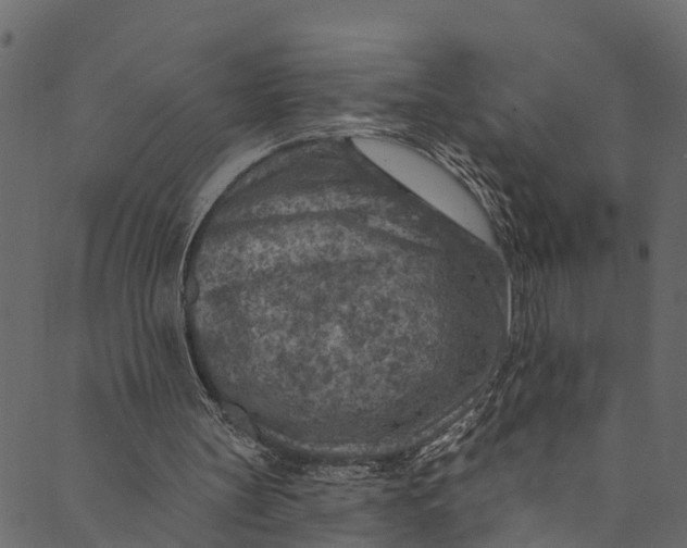 X0000089680147200707121257