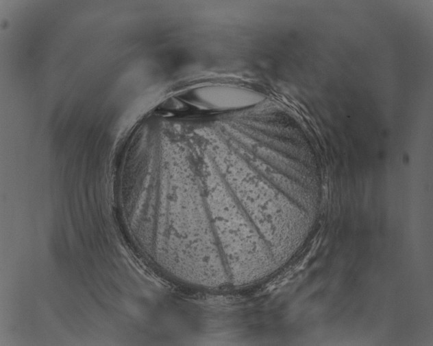 X0000089680149200707121257