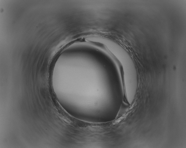 X0000089680150200707121257