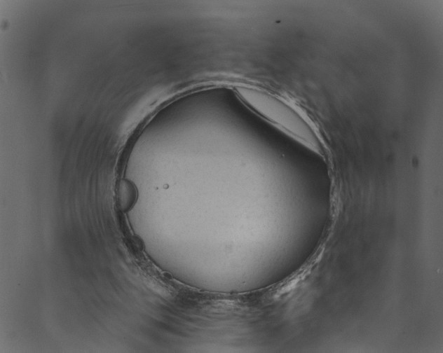 X0000089680151200707121257