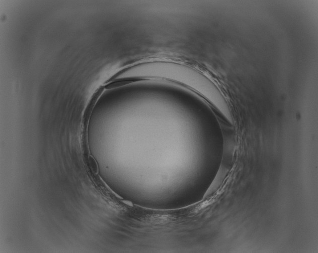 X0000089680152200707121257