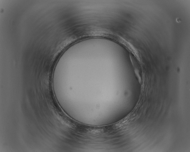 X0000089680155200707121257