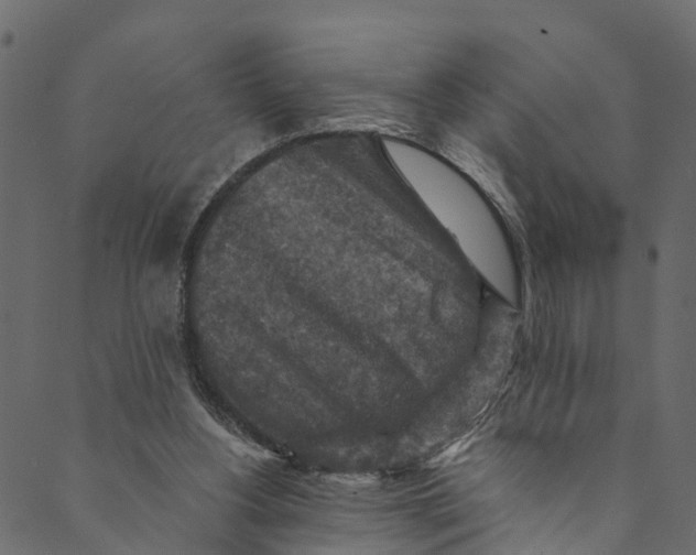 X0000089680156200707121257