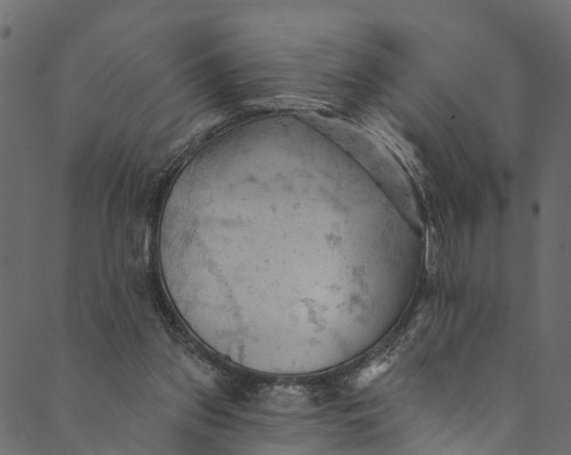 X0000089680157200707121257