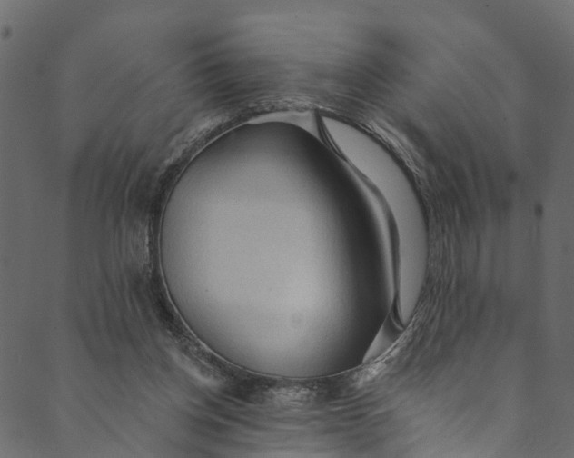 X0000089680158200707121258