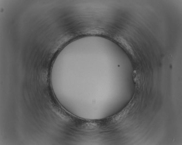 X0000089680159200707121258