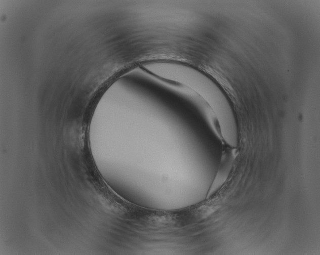 X0000089680160200707121258