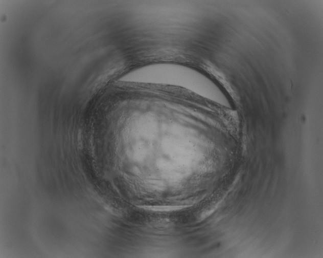 X0000089680161200707121258