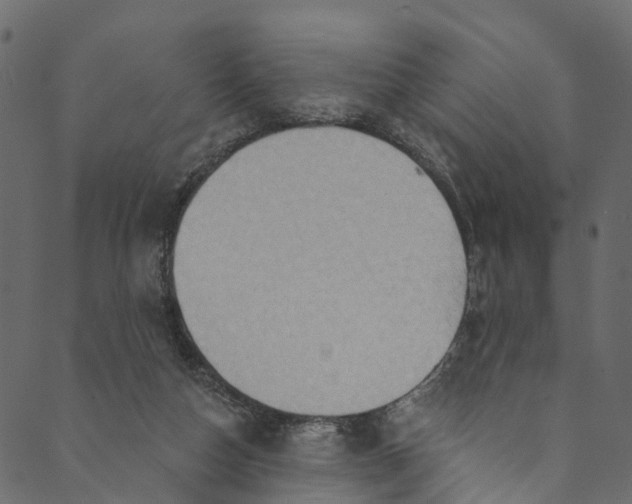 X0000089680162200707121258