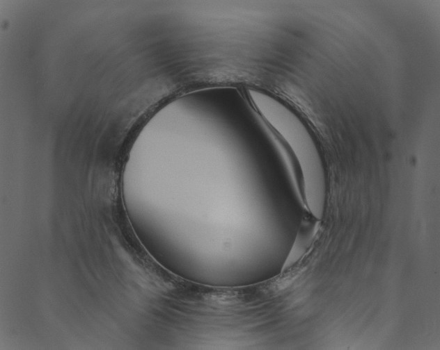 X0000089680164200707121258