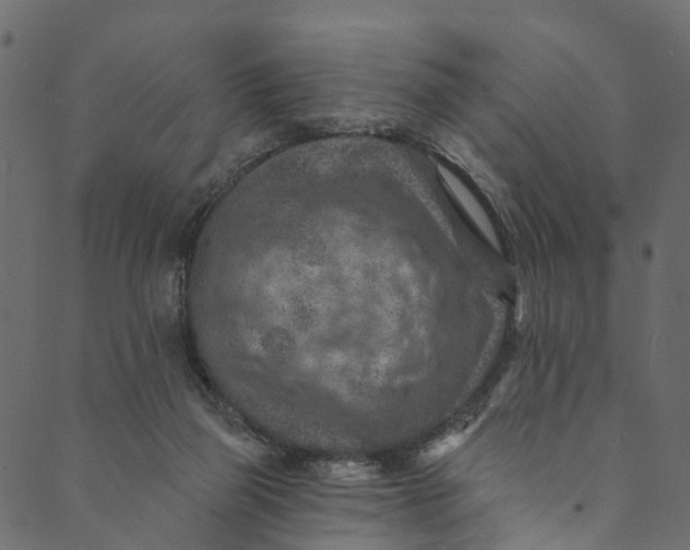 X0000089680165200707121258