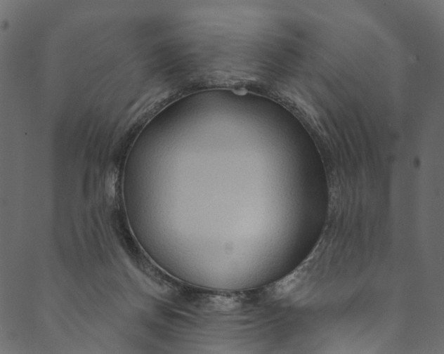 X0000089680166200707121258