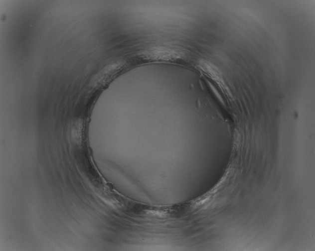 X0000089680167200707121258