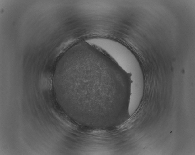 X0000089680168200707121258