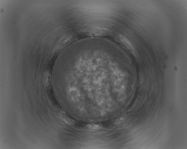 X0000089680169200707121258